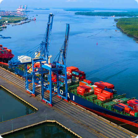 Dịch vụ cho thuê tàu đưa đón