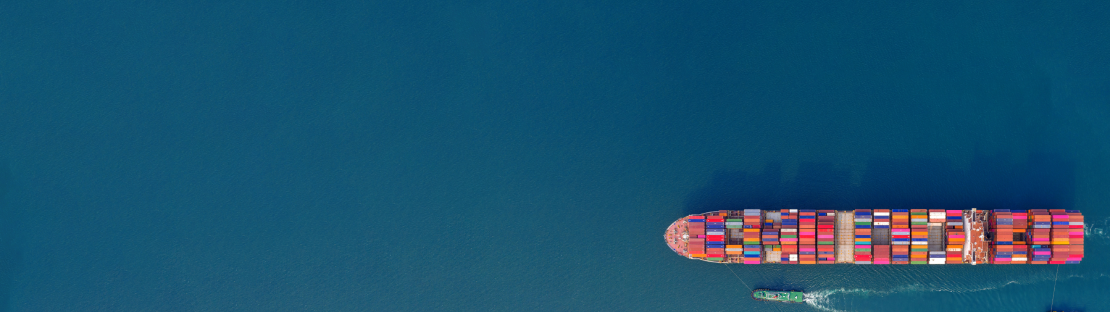 Tan Cang Offshore Services and Marine Support Joint Stock Company